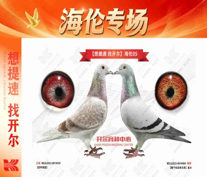 “想提速 找开尔”海伦05
