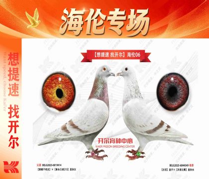 “想提速 找开尔”海伦06