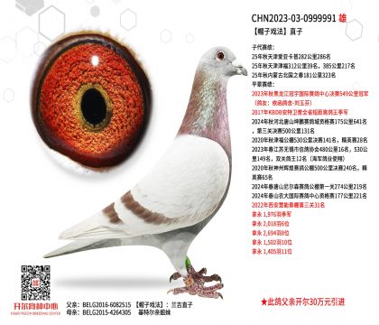 3父亲23-0999991