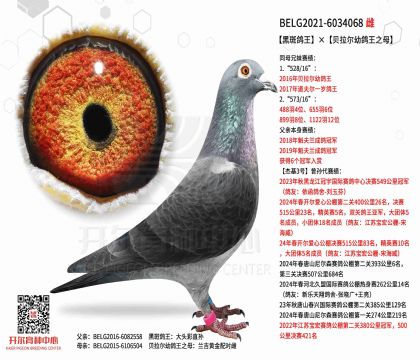 4.母亲BELG2021-6034068