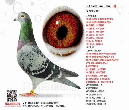 4母亲BELG2019-4213943图