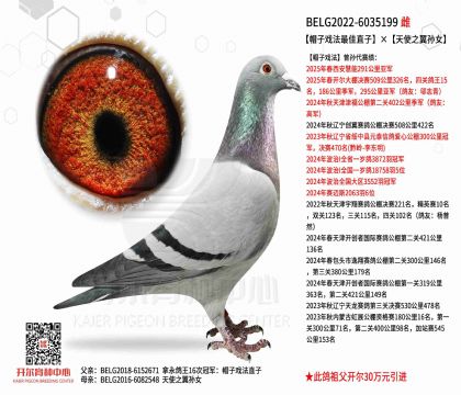 4.母亲BELG2022-6035199