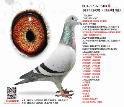4.母亲BELG2023-6019404