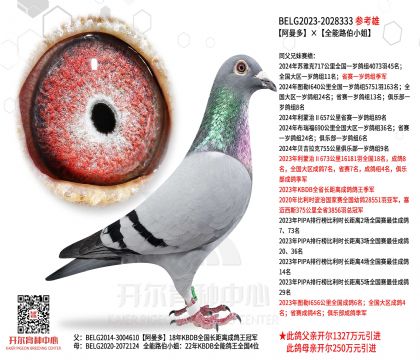 4.父亲23-2028333