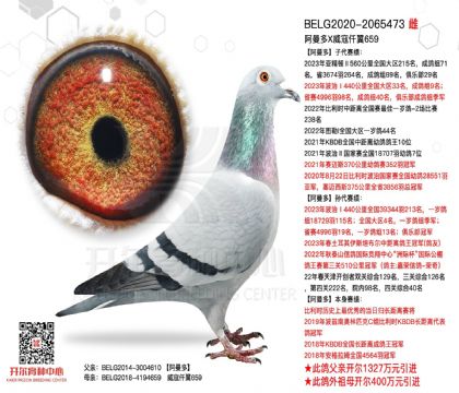 4.母亲-2065473