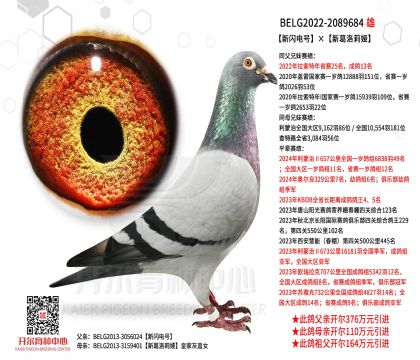 4.父亲-2089684