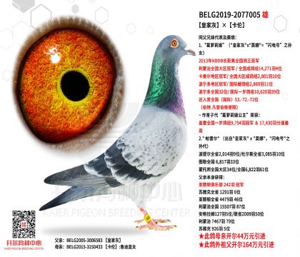 4.父亲-2077005