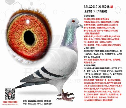 4.父亲BELG2019-2125248