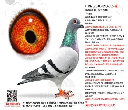 4.父亲20-0906095