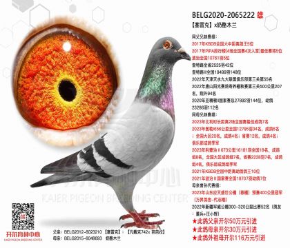 4.父亲2065222