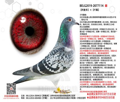 5.母亲BELG2019-2077114