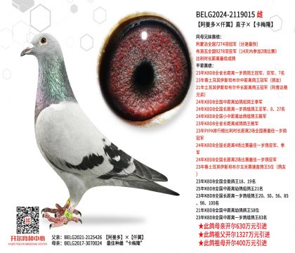 5.母亲-2119015