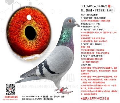 5.母亲3141692反面