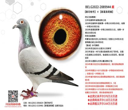 5.母亲-2089944