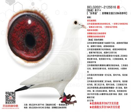 5.母亲613-2125516
