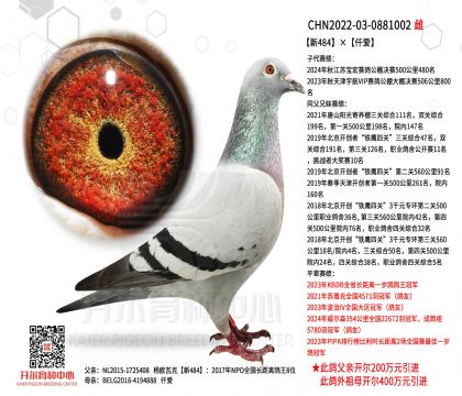 5.母亲-0881002