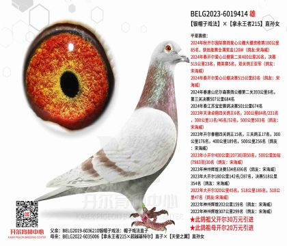 3.父亲BELG2023-6019414