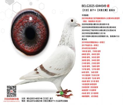 4.母亲BELG2025-6044549