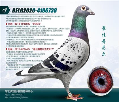 父亲