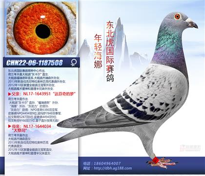 母亲