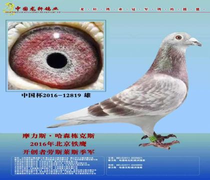父亲