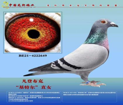 母亲