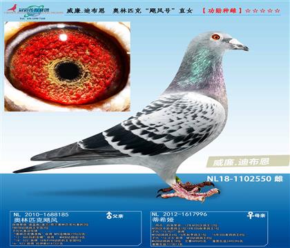 母