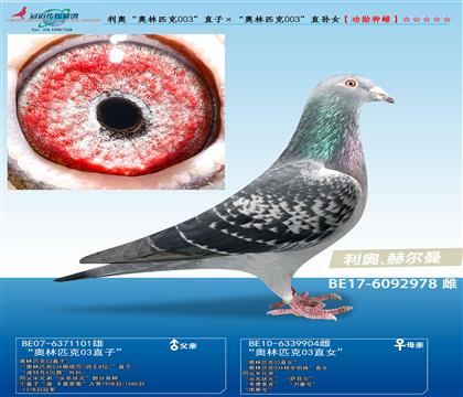 母