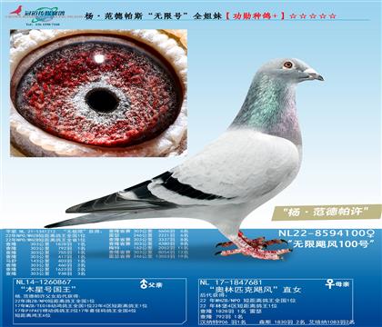 母
