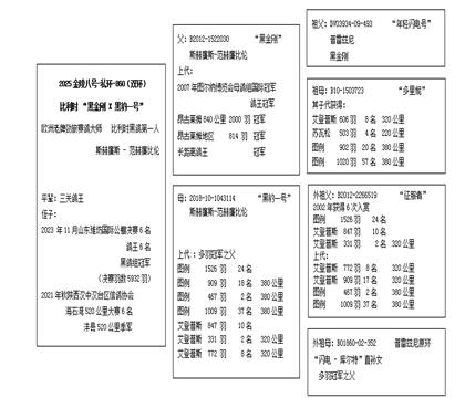 血统表