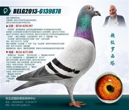 母亲