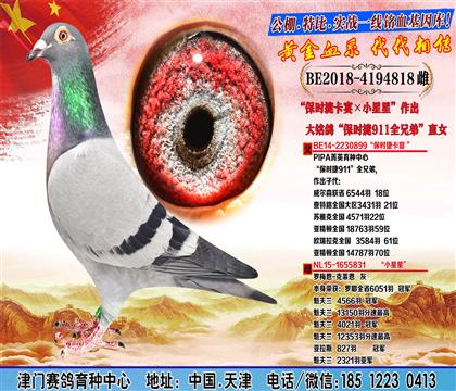 母亲
