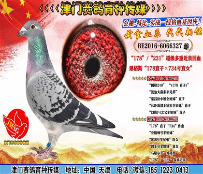 母亲