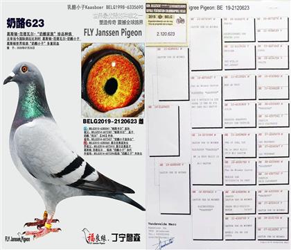 父母欣赏