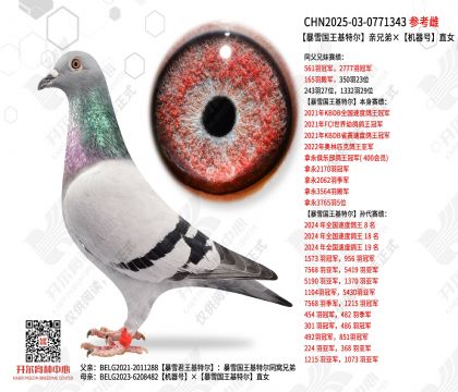 暴雪国王基特尔亲兄弟×机器号直女