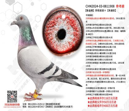 新金姆同母弟弟×朱丽安