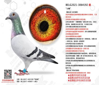 “小琳”