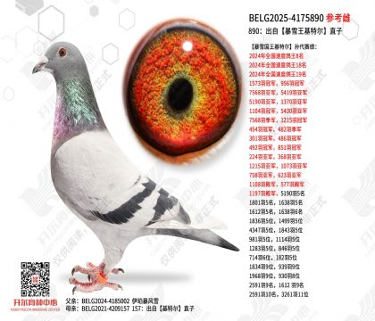 890:出自暴雪王基特尔直子