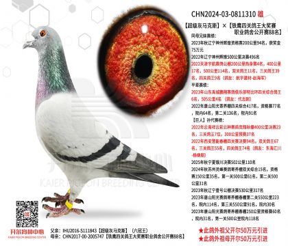 2父亲-0811310