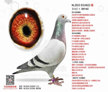 2父亲23-9314622