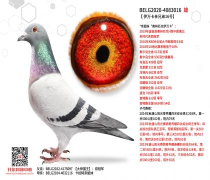 2父亲-4083016