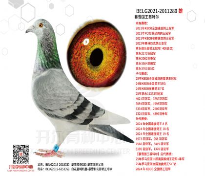 2祖父-2011289