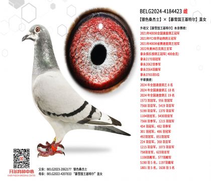 3母亲-4184423