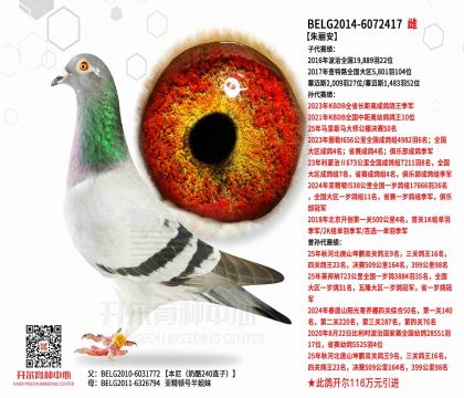 3母亲-6072417