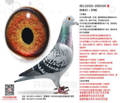 3母亲20-2065426