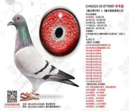 雷吉博尔特×赫尔曼斯漂亮819