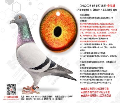 利蒙治雄狮ד费舍尔 ×葛洛莉娅”直女