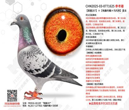 斑雄207ד电脑约翰×乌托邦”直女