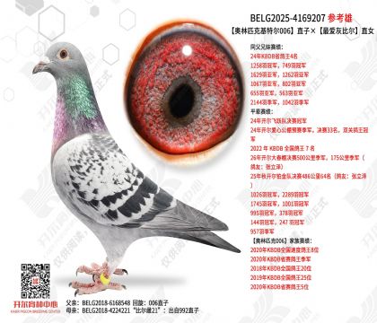 奥林匹克基特尔006直子×最爱灰比尔直女