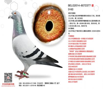 2父亲-6072377